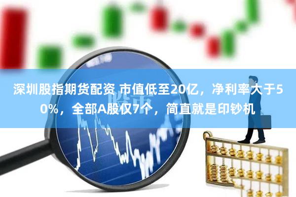 深圳股指期货配资 市值低至20亿，净利率大于50%，全部A股仅7个，简直就是印钞机